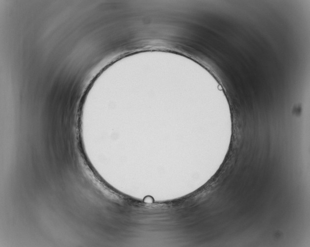 X0000114241142200911201127