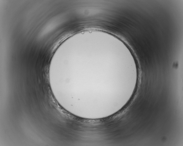 X0000114241145200911201127