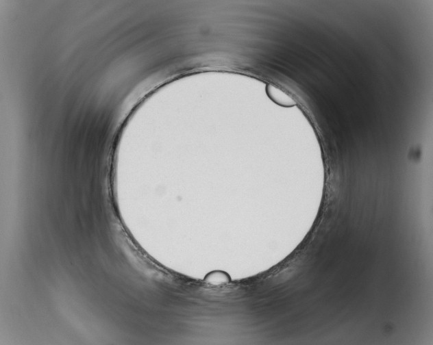 X0000114241146200911201127