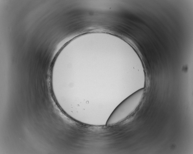 X0000114241149200911201127