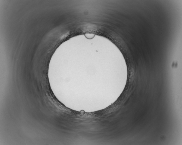 X0000114241153200911201127