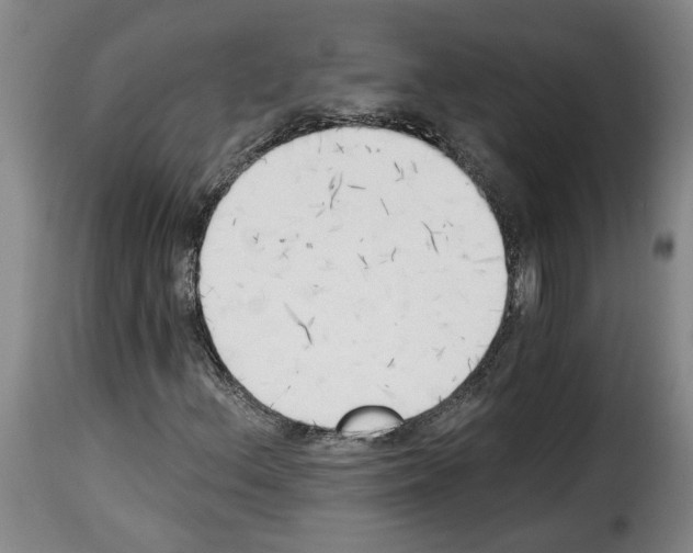 X0000114241156200911201126