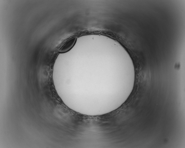 X0000114241157200911201126