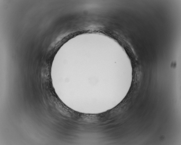 X0000114241158200911201126