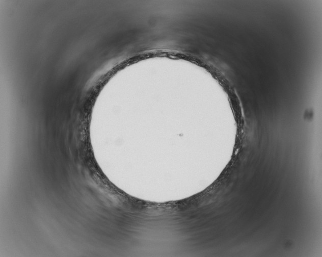 X0000114241159200911201126