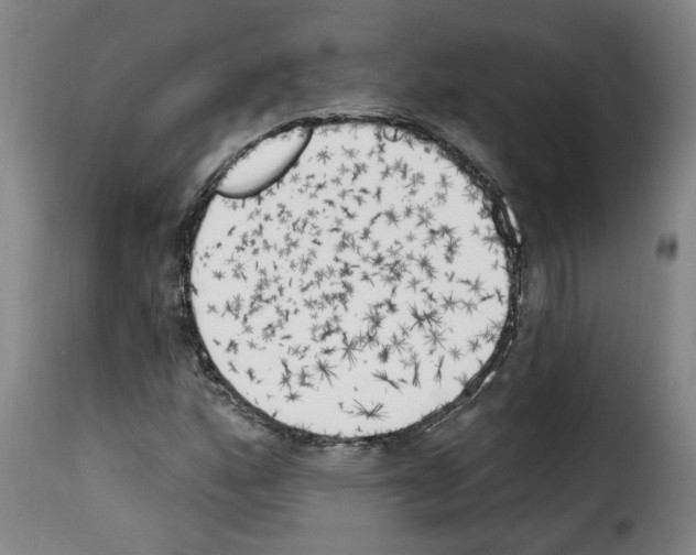 X0000114241160200911201126