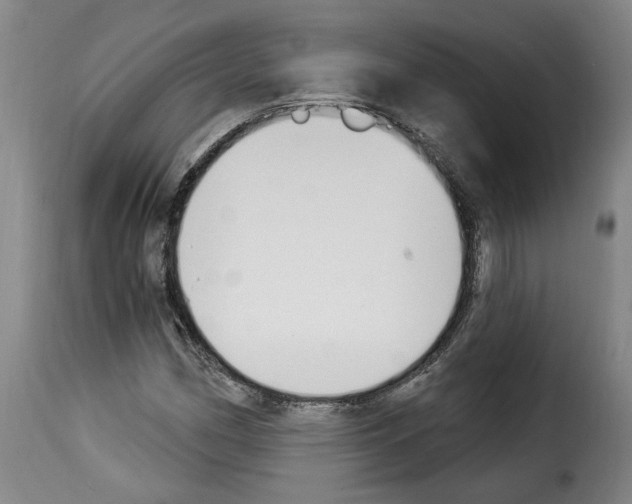 X0000114241162200911201126