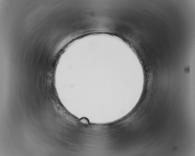 X0000114241163200911201126