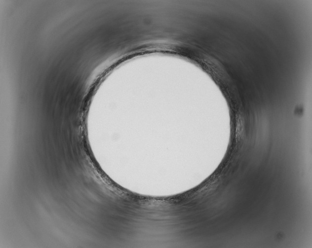 X0000114241164200911201126