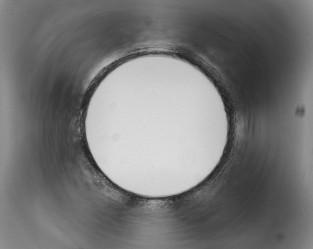 X0000114241166200911201126