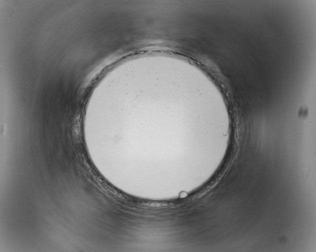 X0000114241167200911201126