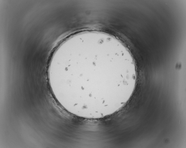 X0000114241168200911201126