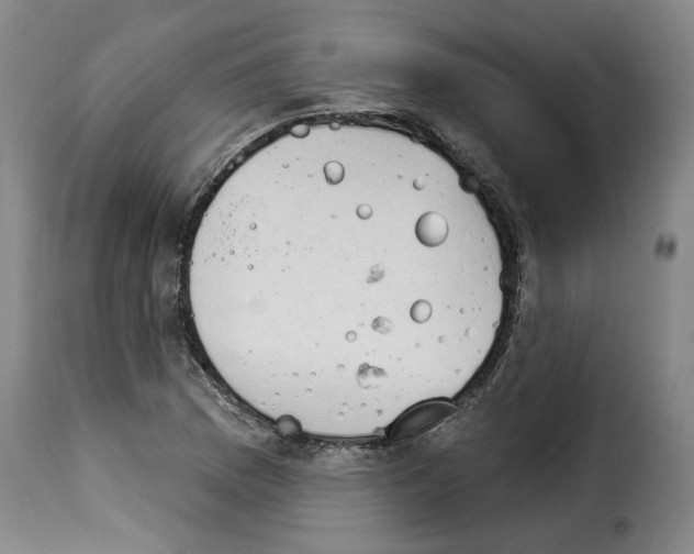 X0000114241169200911201126