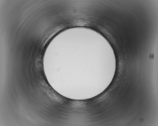 X0000114241170200911201126