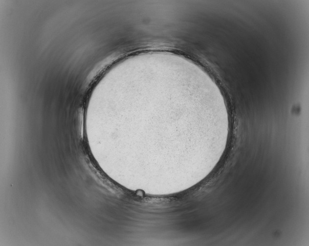 X0000114241171200911201126