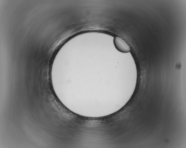 X0000114241173200911201126