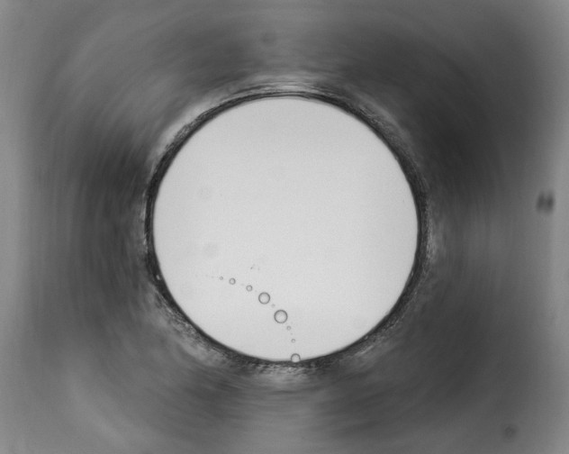 X0000114241174200911201126