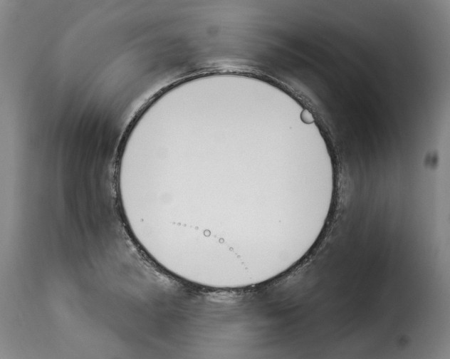 X0000114241182200911201126