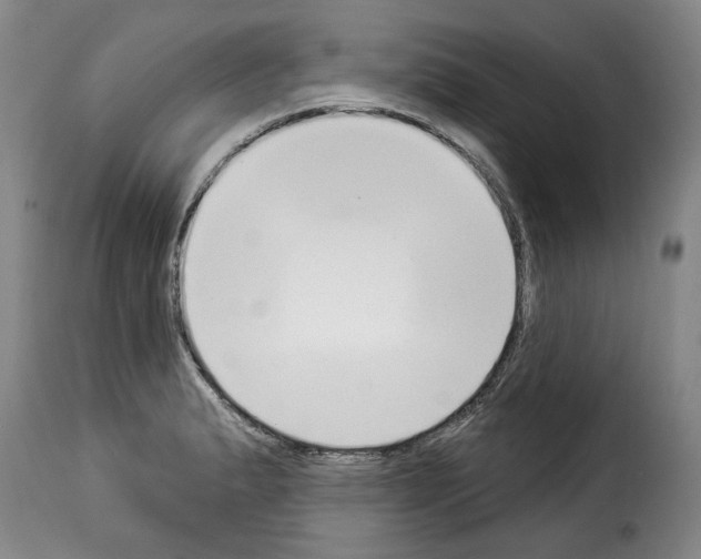 X0000114241183200911201126