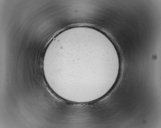 X0000114241185200911201126