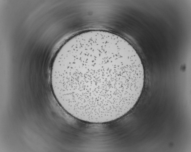 X0000114241188200911201126