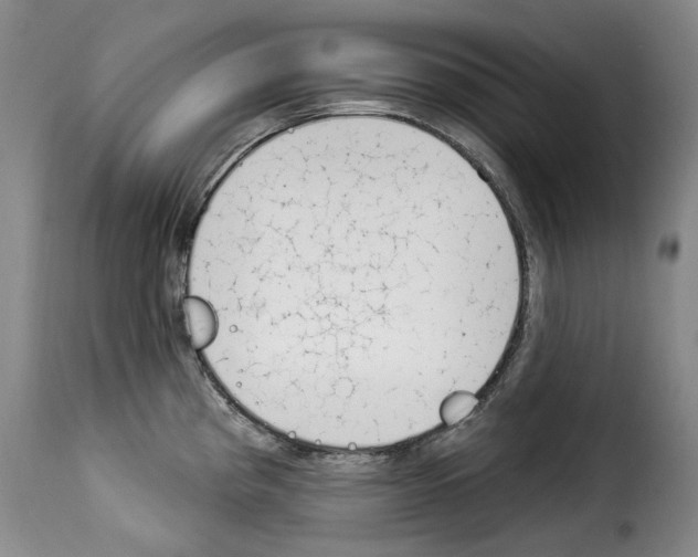 X0000114241193200911201126