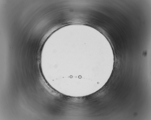 X0000114241195200911201126