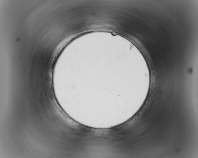 X0000114241196200911201126