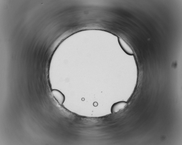 X0000114241197200911201126