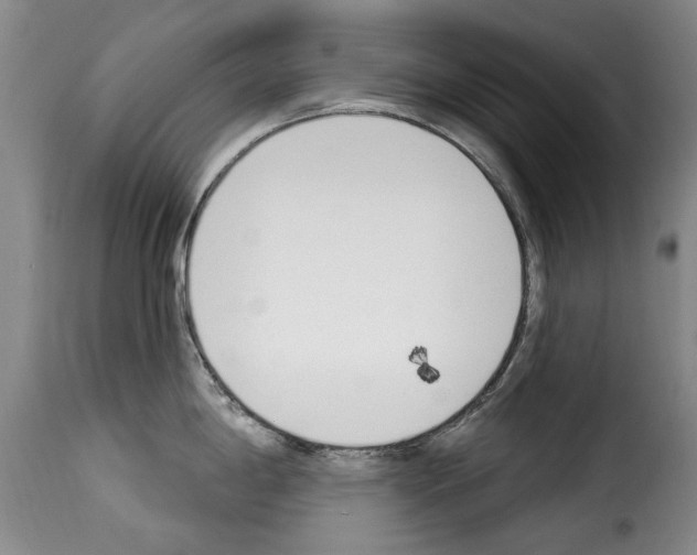 X0000114241198200911201126