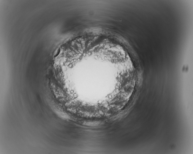 X0000114241201200911201125