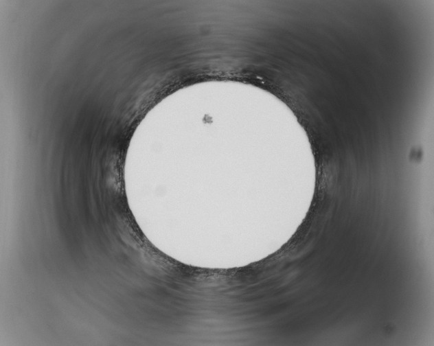 X0000114241202200911201125