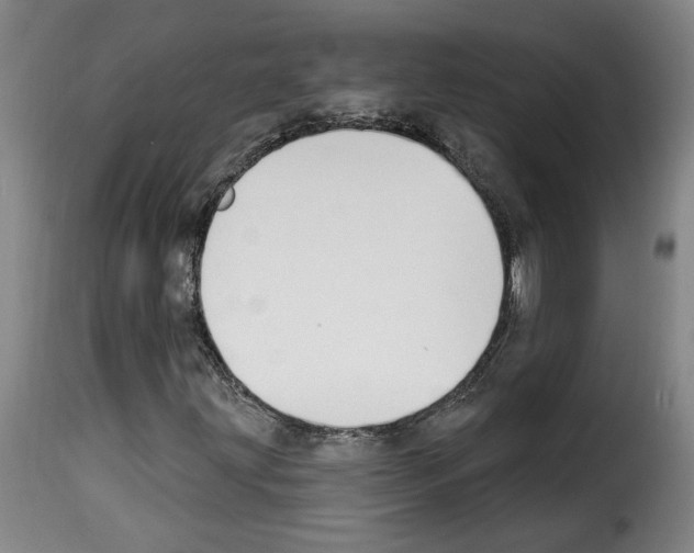 X0000114241203200911201125