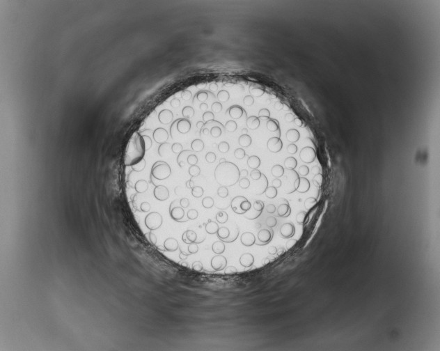 X0000114241205200911201125