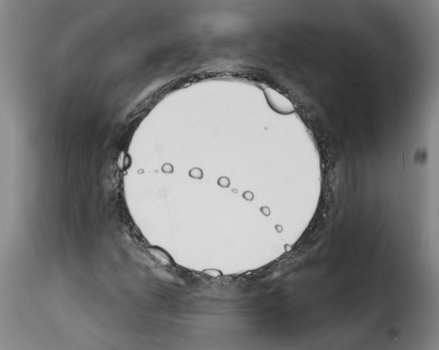 X0000114241206200911201125