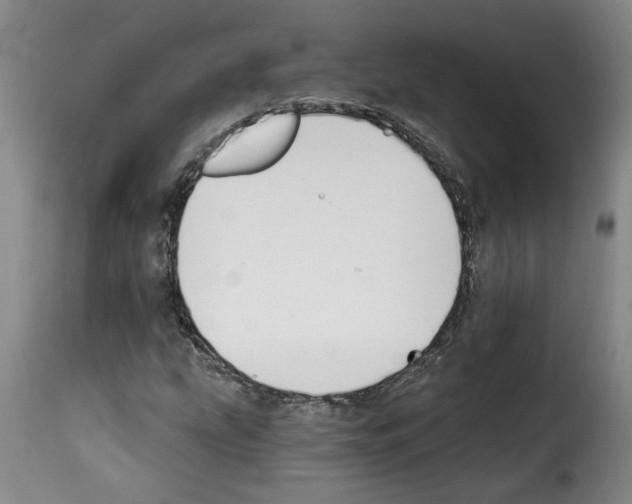 X0000114241207200911201125