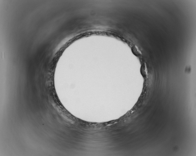 X0000114241208200911201125