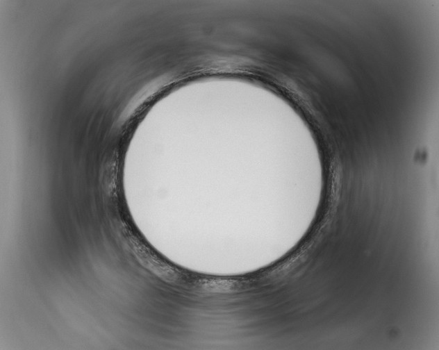 X0000114241211200911201125