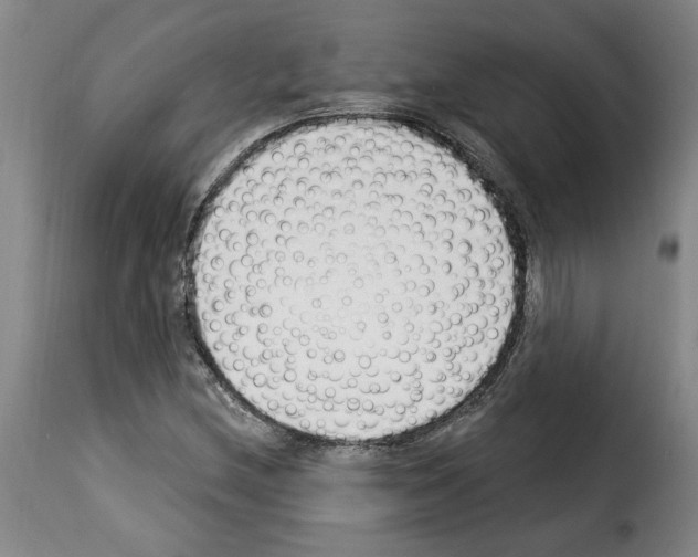 X0000114241212200911201125