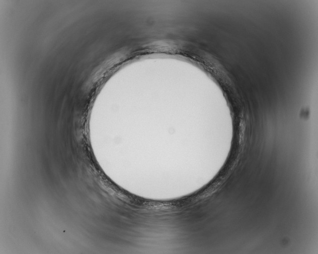 X0000114241213200911201125