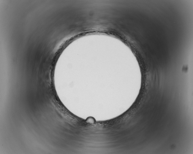 X0000114241214200911201125