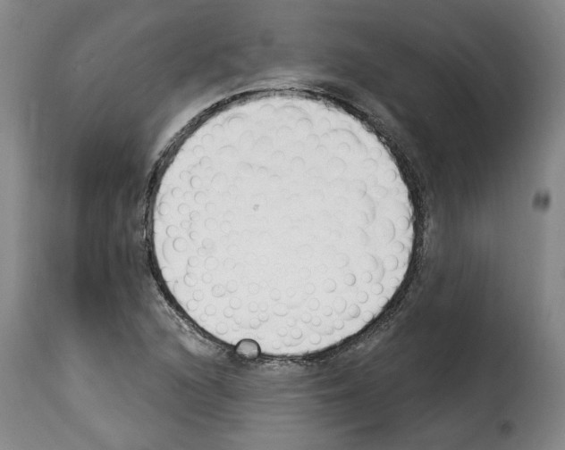 X0000114241216200911201125