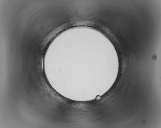 X0000114241221200911201125