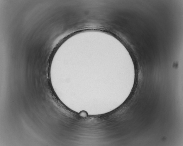 X0000114241222200911201125