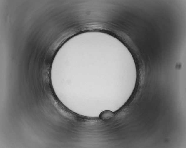 X0000114241225200911201125