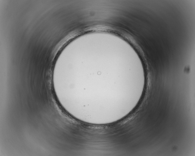 X0000114241229200911201125