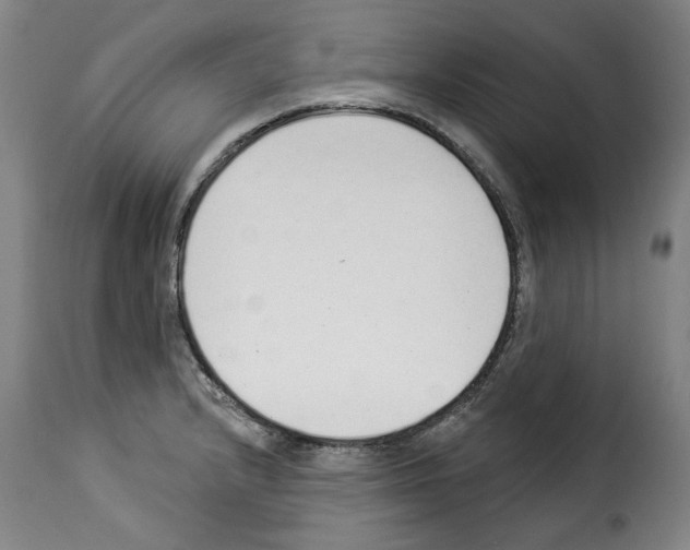 X0000114241232200911201125