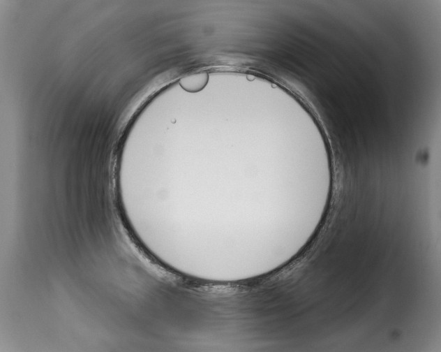 X0000114241235200911201125