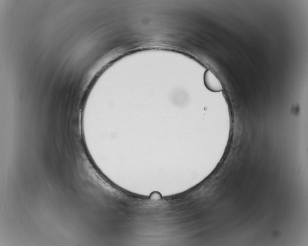 X0000114241238200911201125