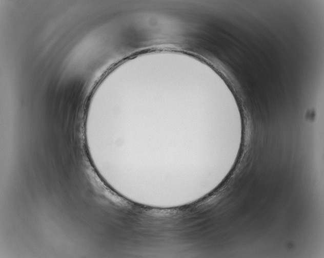 X0000114241240200911201125